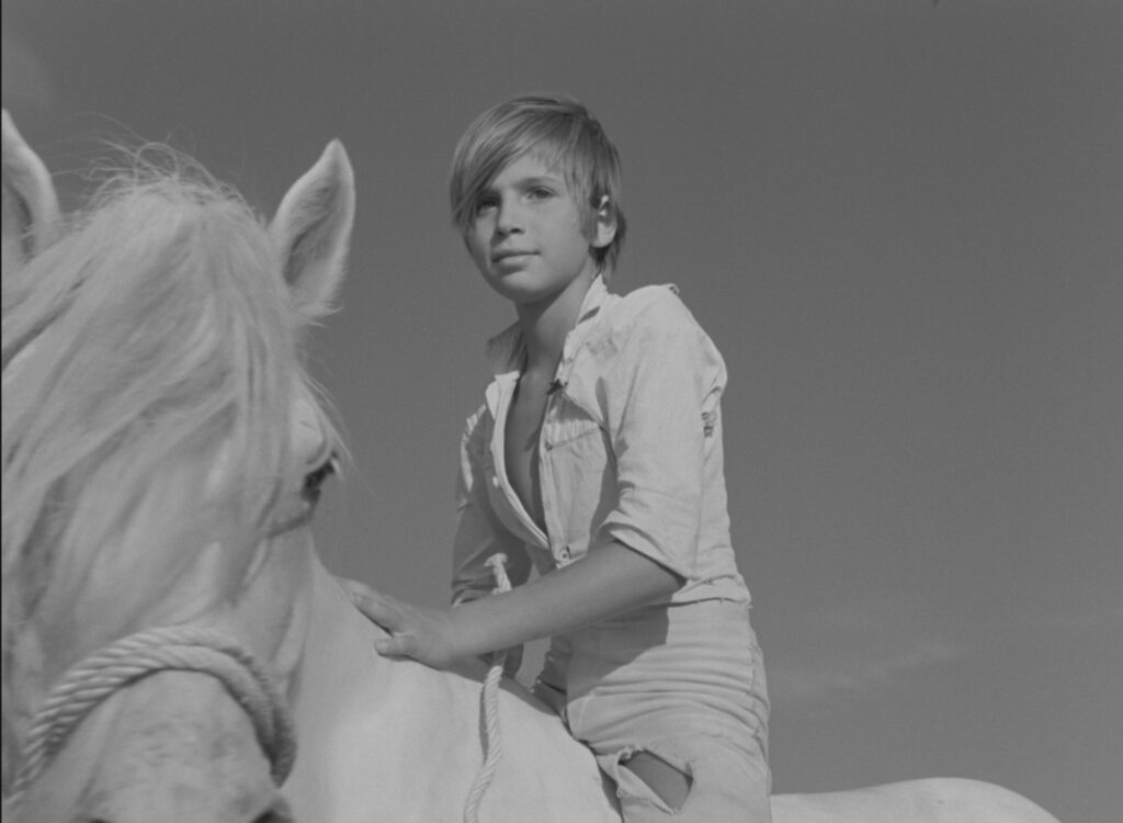 © Copyright Films Montsouris 1953