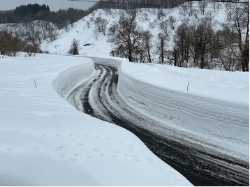 写真提供゠三宅唱