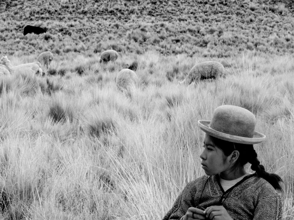 ©2023 CINE AYMARA STUDIOS​